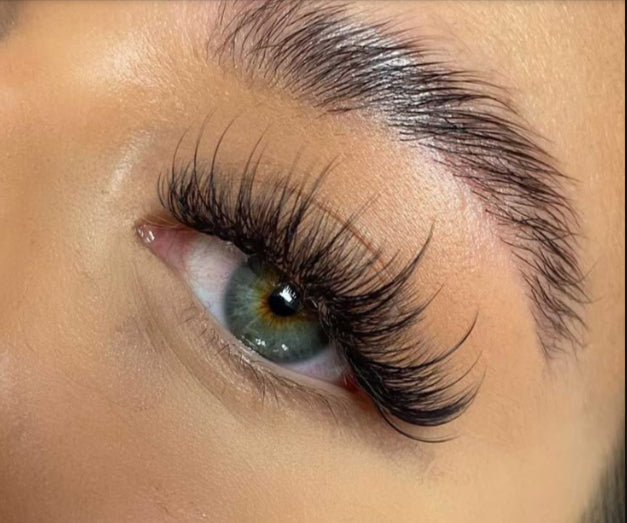 pestañas wispy pelo a pelo